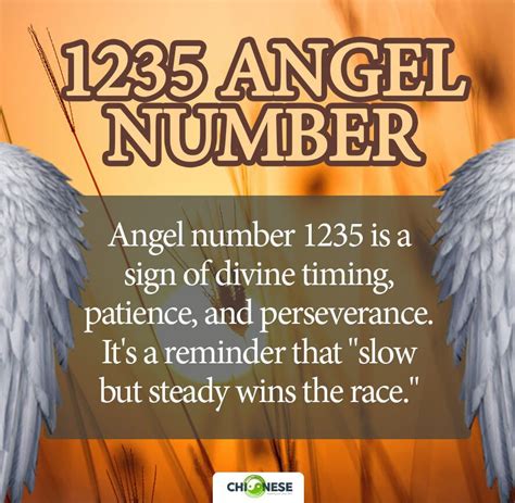 1235 angel number|1235 Angel Number: What Does It Mean and How to Interpret It